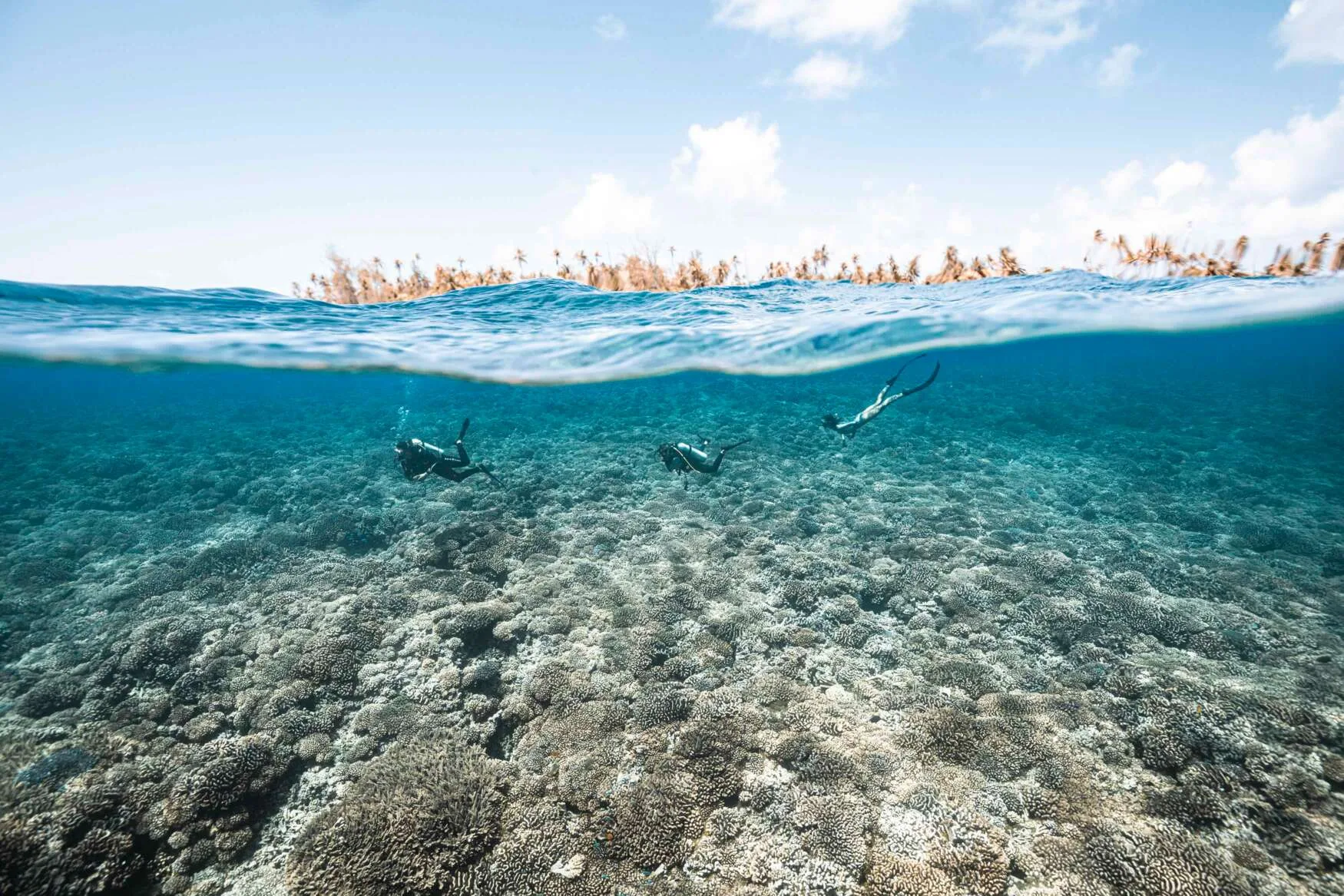 Discover the diving clubs in Tahiti - Tahiti Tourisme