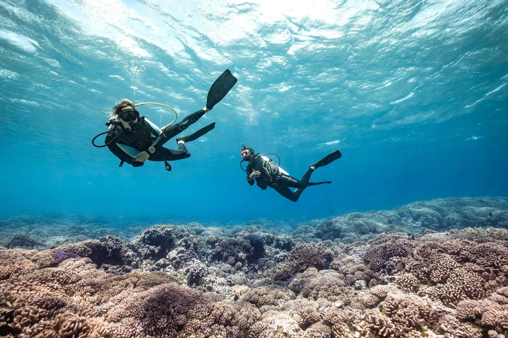 Discover History by Diving Shipwrecks - Tahiti Tourisme